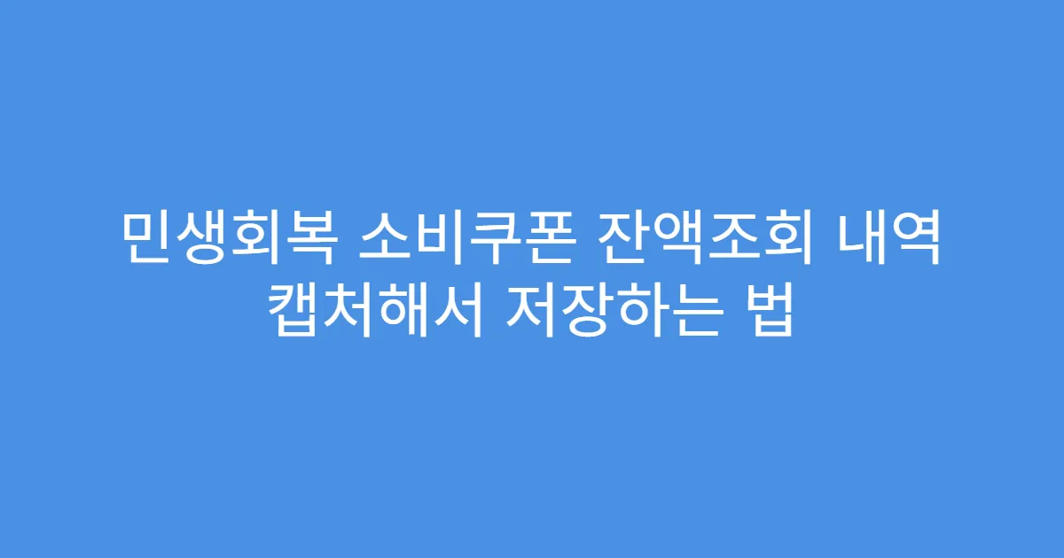 민생회복 소비쿠폰 잔액조회 내역 캡처해서 저장하는 법