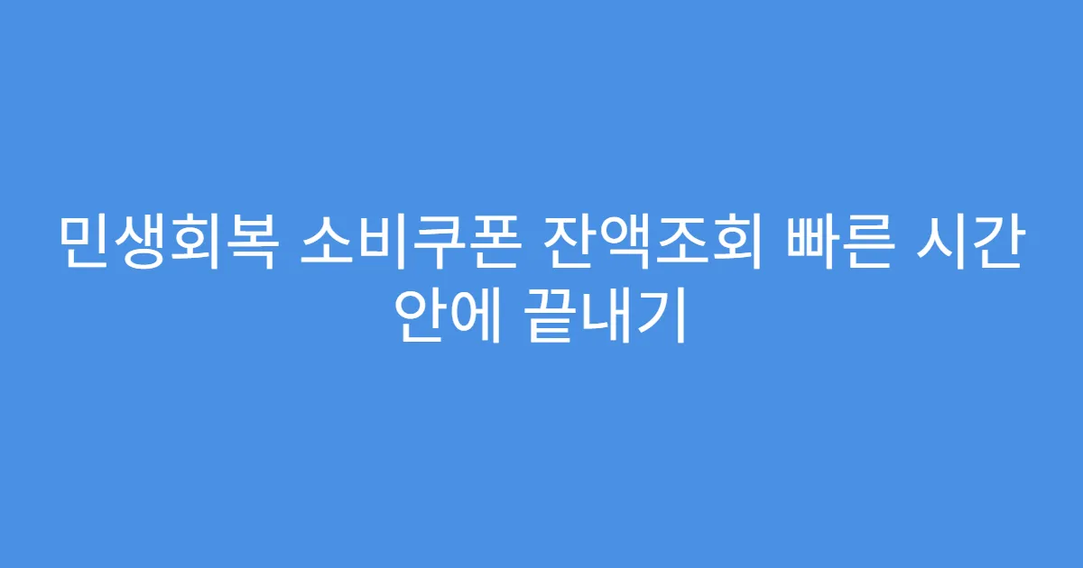 민생회복 소비쿠폰 잔액조회 빠른 시간 안에 끝내기