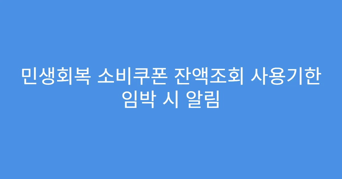 민생회복 소비쿠폰 잔액조회 사용기한 임박 시 알림