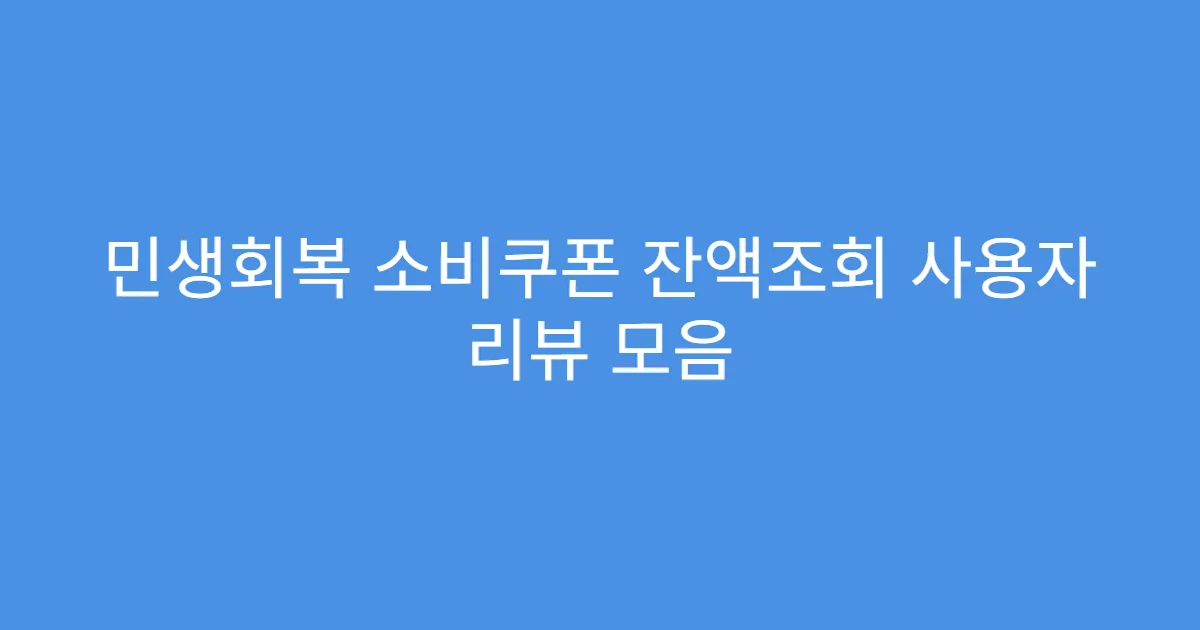 민생회복 소비쿠폰 잔액조회 사용자 리뷰 모음
