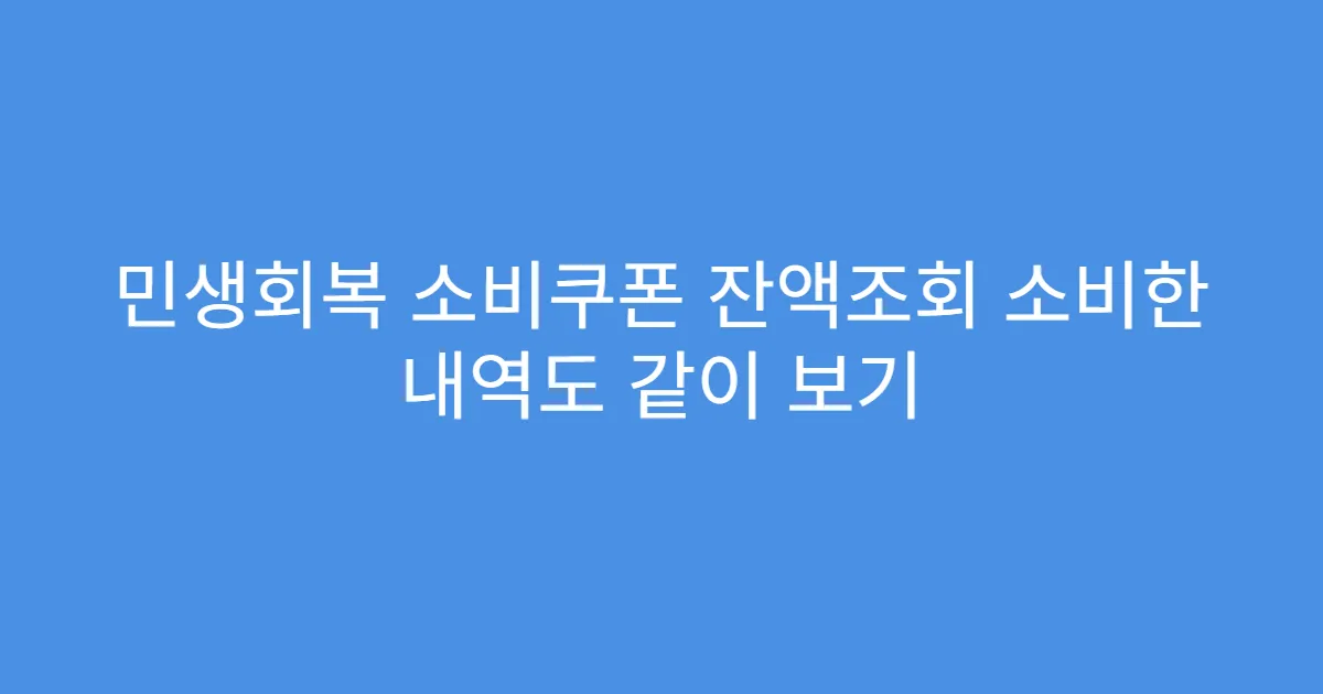 민생회복 소비쿠폰 잔액조회 소비한 내역도 같이 보기