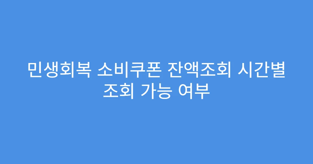 민생회복 소비쿠폰 잔액조회 시간별 조회 가능 여부