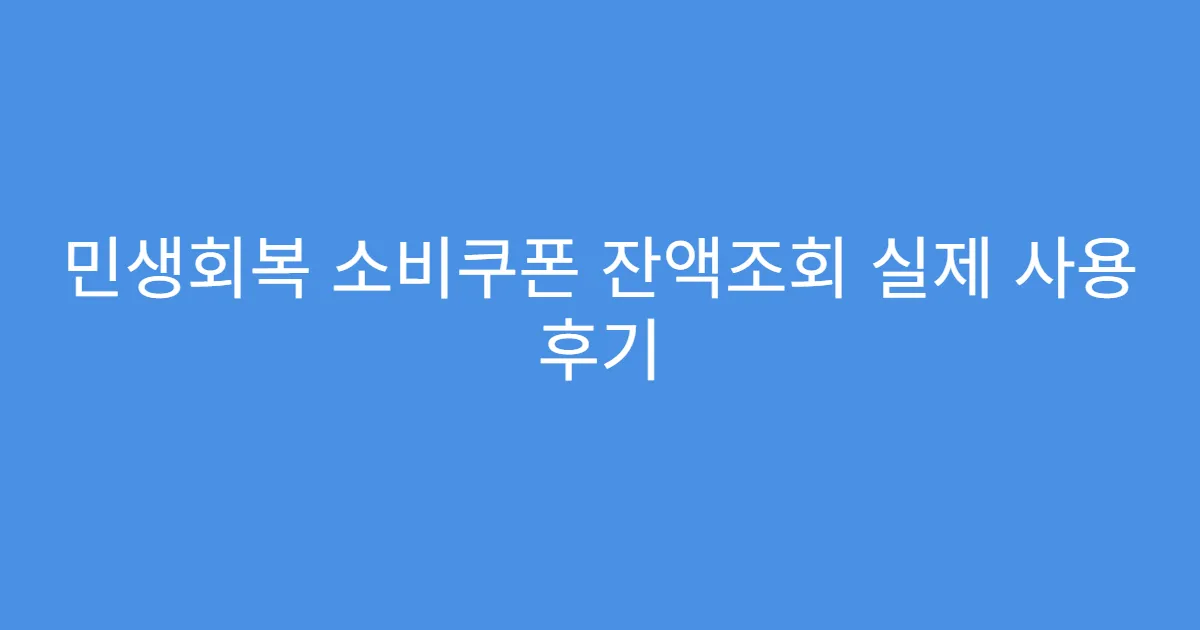 민생회복 소비쿠폰 잔액조회 실제 사용 후기