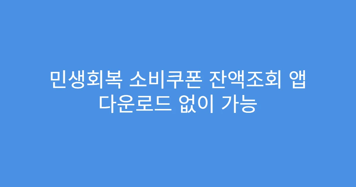 민생회복 소비쿠폰 잔액조회 앱 다운로드 없이 가능