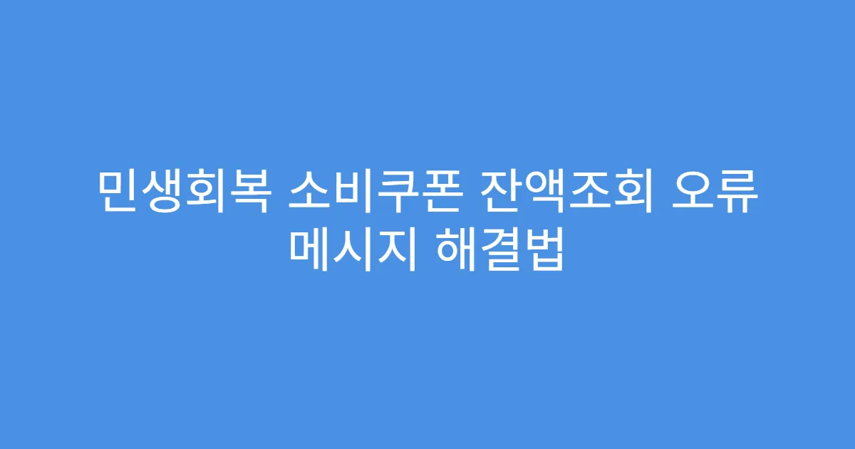 민생회복 소비쿠폰 잔액조회 오류 메시지 해결법