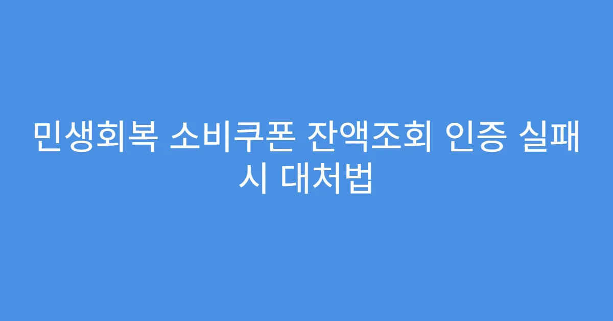 민생회복 소비쿠폰 잔액조회 인증 실패 시 대처법