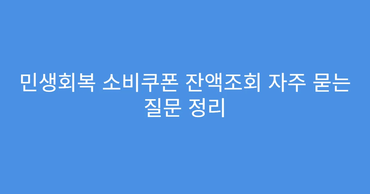 민생회복 소비쿠폰 잔액조회 자주 묻는 질문 정리