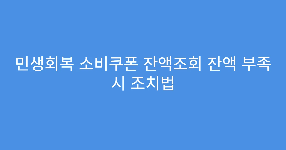 민생회복 소비쿠폰 잔액조회 잔액 부족 시 조치법
