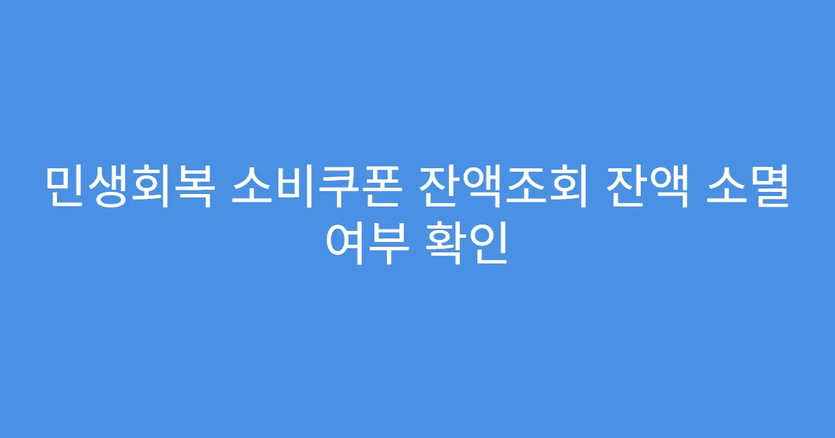 민생회복 소비쿠폰 잔액조회 잔액 소멸 여부 확인