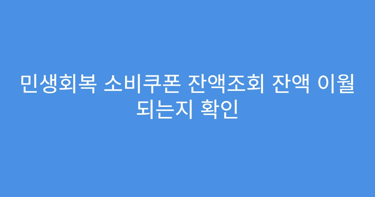 민생회복 소비쿠폰 잔액조회 잔액 이월 되는지 확인