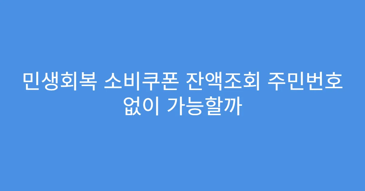 민생회복 소비쿠폰 잔액조회 주민번호 없이 가능할까