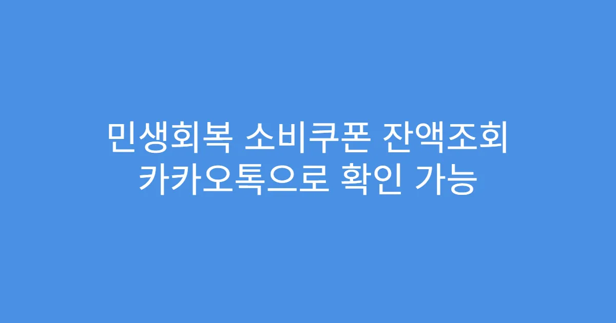 민생회복 소비쿠폰 잔액조회 카카오톡으로 확인 가능
