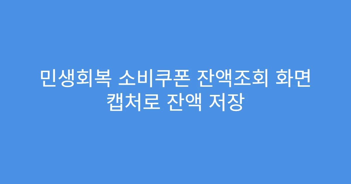 민생회복 소비쿠폰 잔액조회 화면 캡처로 잔액 저장