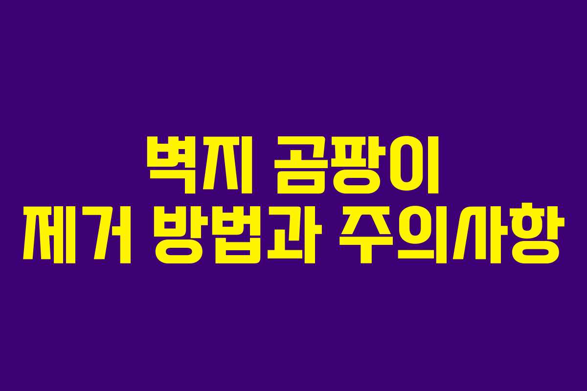 벽지 곰팡이 제거 방법과 주의사항