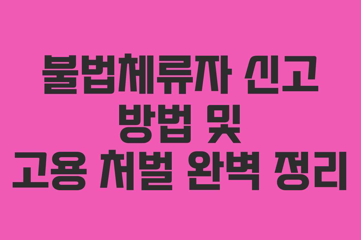 불법체류자 신고 방법 및 고용 처벌 완벽 정리