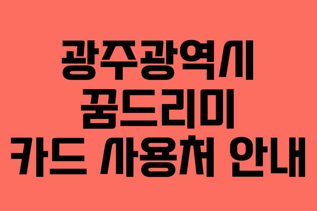 광주광역시 꿈드리미 카드 사용처 안내