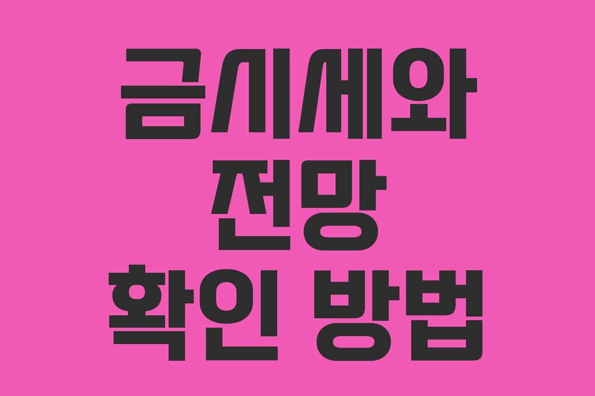 금시세와 전망 확인 방법