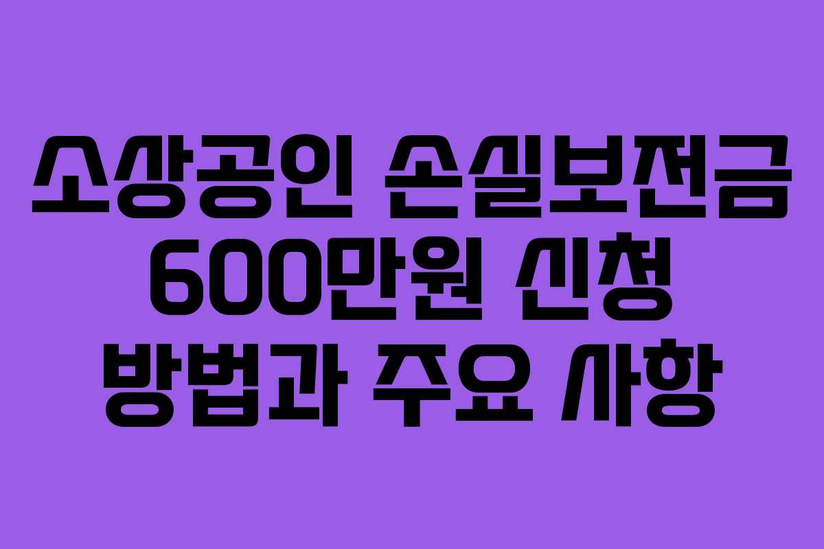 소상공인 손실보전금 600만원 신청 방법과 주요 사항