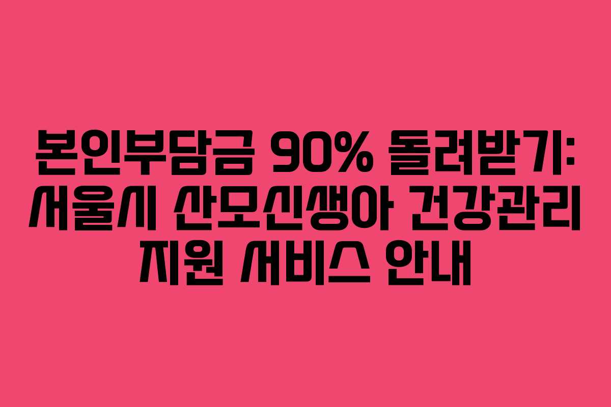 본인부담금 90% 돌려받기: 서울시 산모신생아 건강관리 지원 서비스 안내