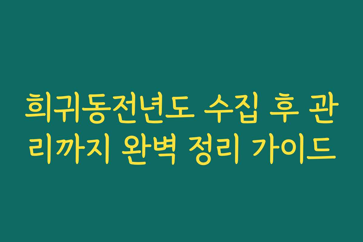 희귀동전년도 수집 후 관리까지 완벽 정리 가이드
