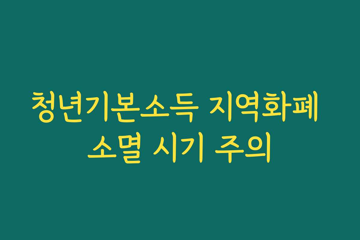 청년기본소득 지역화폐 소멸 시기 주의