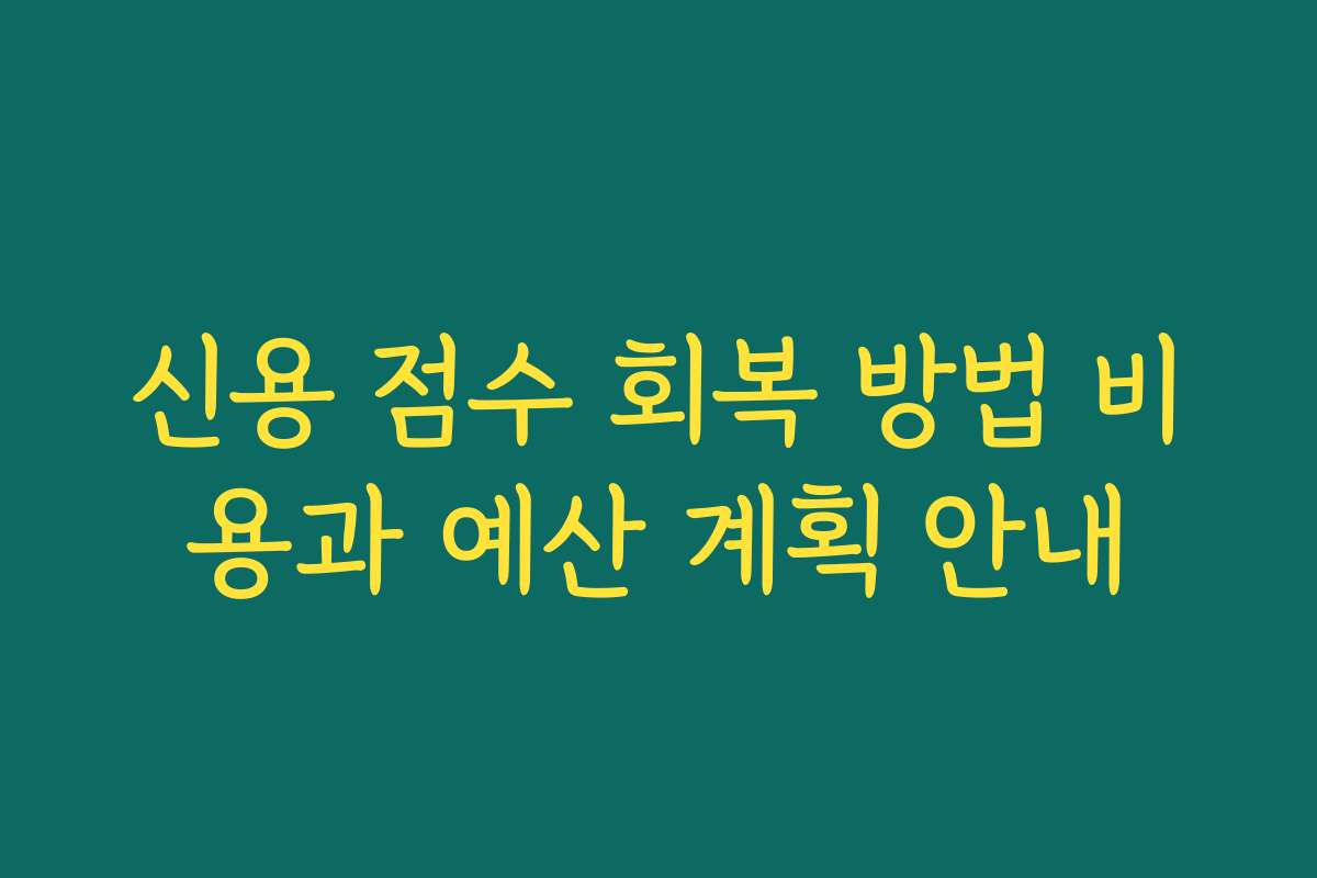신용 점수 회복 방법 비용과 예산 계획 안내