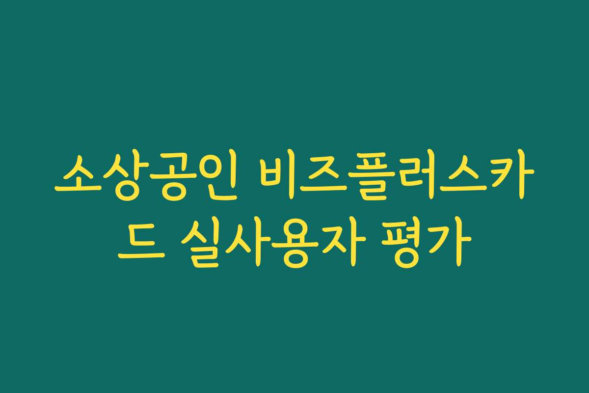 소상공인 비즈플러스카드 실사용자 평가