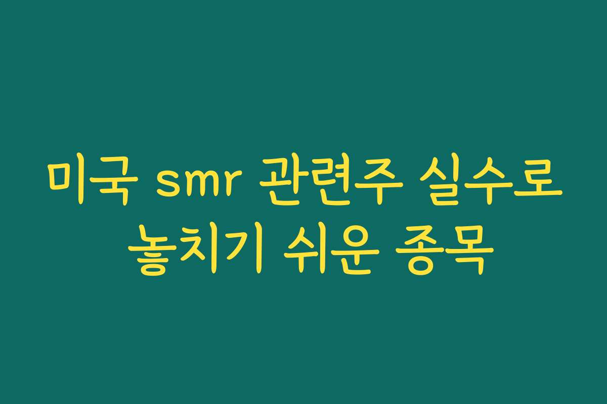 미국 smr 관련주 실수로 놓치기 쉬운 종목