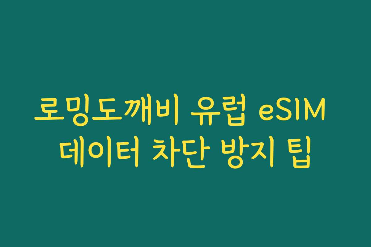 로밍도깨비 유럽 eSIM 데이터 차단 방지 팁
