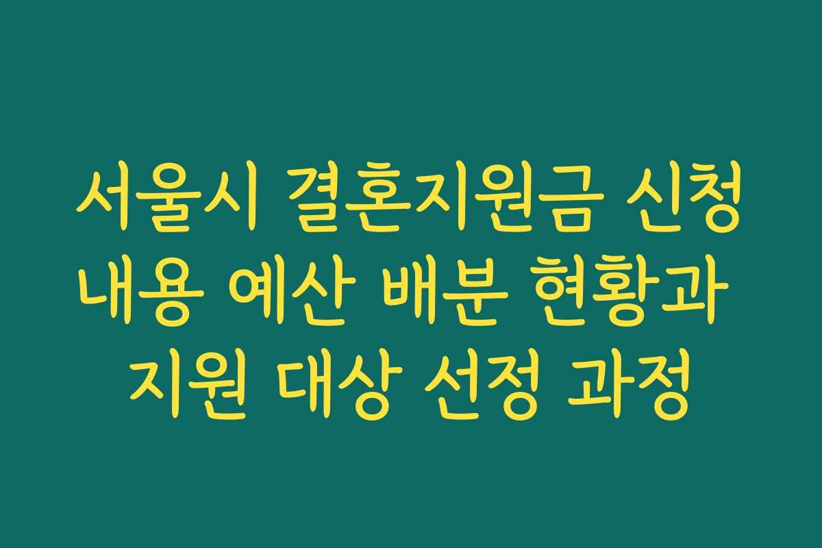 서울시 결혼지원금 신청내용 예산 배분 현황과 지원 대상 선정 과정