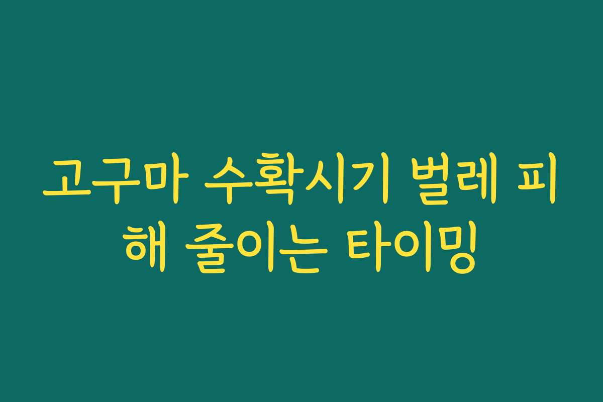 고구마 수확시기 벌레 피해 줄이는 타이밍