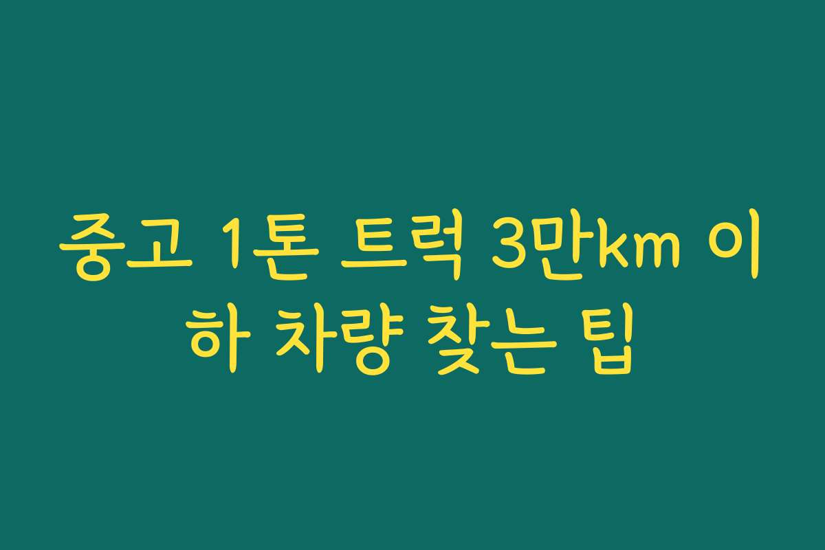 중고 1톤 트럭 3만km 이하 차량 찾는 팁