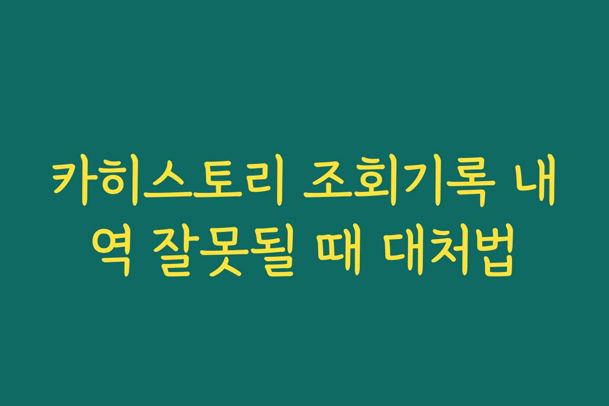 카히스토리 조회기록 내역 잘못될 때 대처법