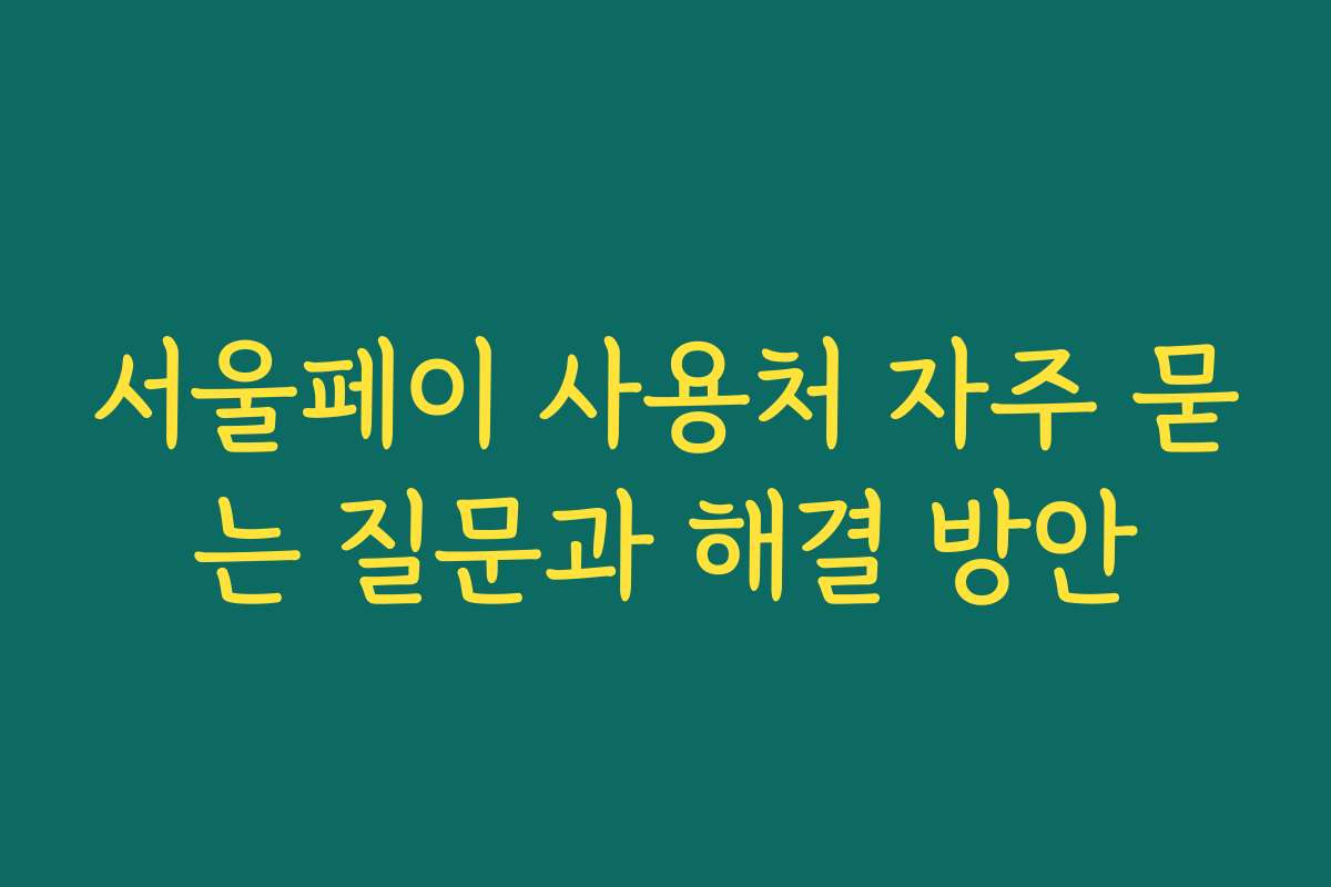서울페이 사용처 자주 묻는 질문과 해결 방안