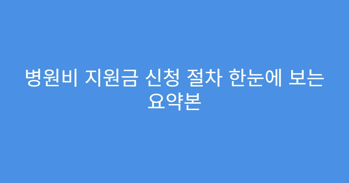 병원비 지원금 신청 절차 한눈에 보는 요약본