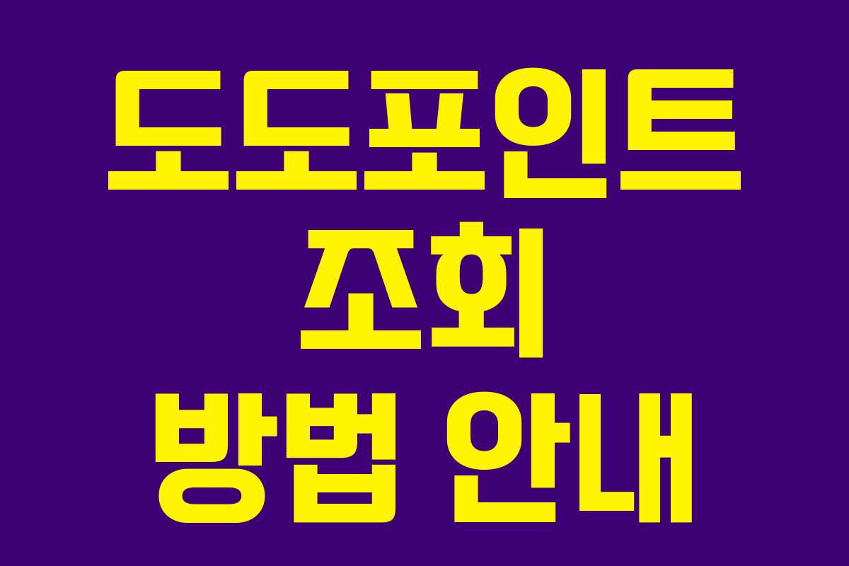 도도포인트 조회 방법 안내