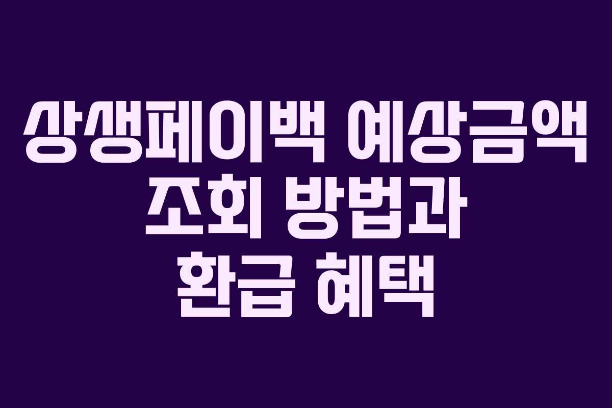 상생페이백 예상금액 조회 방법과 환급 혜택