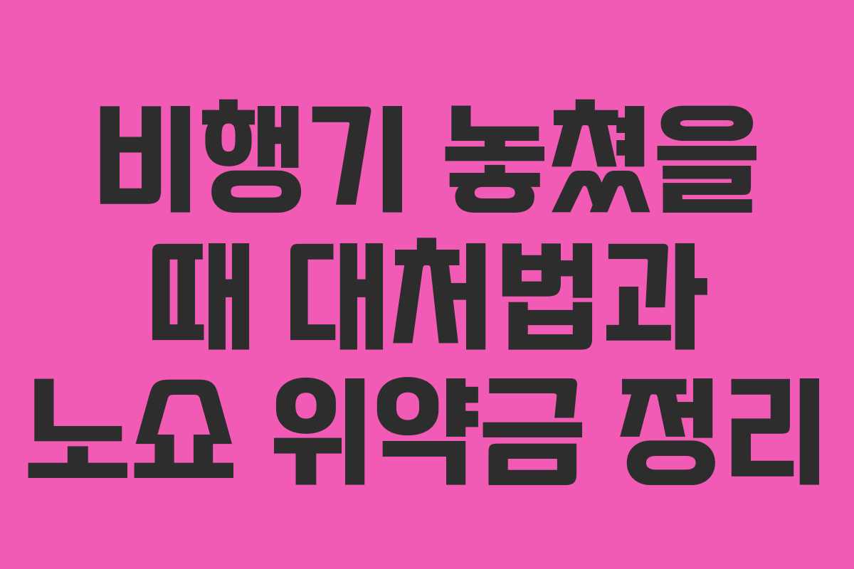 비행기 놓쳤을 때 대처법과 노쇼 위약금 정리