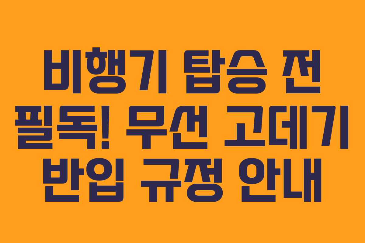 비행기 탑승 전 필독! 무선 고데기 반입 규정 안내