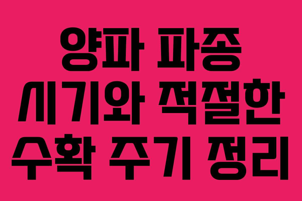 양파 파종 시기와 적절한 수확 주기 정리