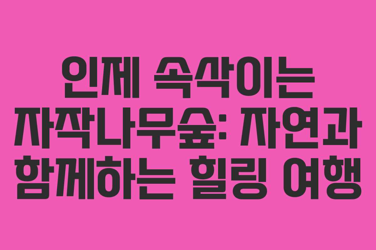 인제 속삭이는 자작나무숲: 자연과 함께하는 힐링 여행