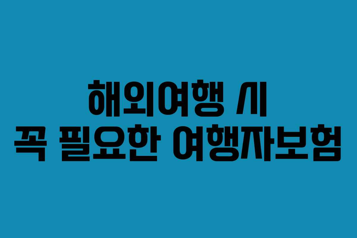 해외여행 시 꼭 필요한 여행자보험