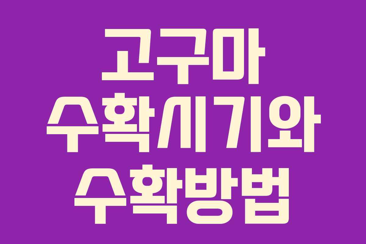 고구마 수확시기와 수확방법