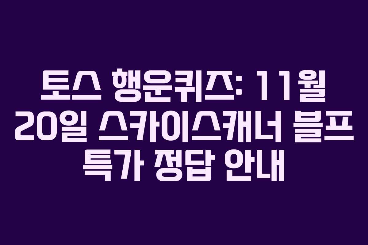 토스 행운퀴즈: 11월 20일 스카이스캐너 블프 특가 정답 안내
