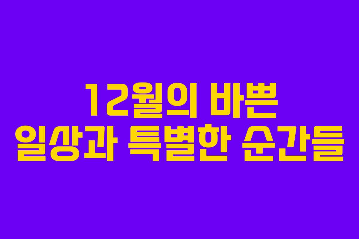 12월의 바쁜 일상과 특별한 순간들