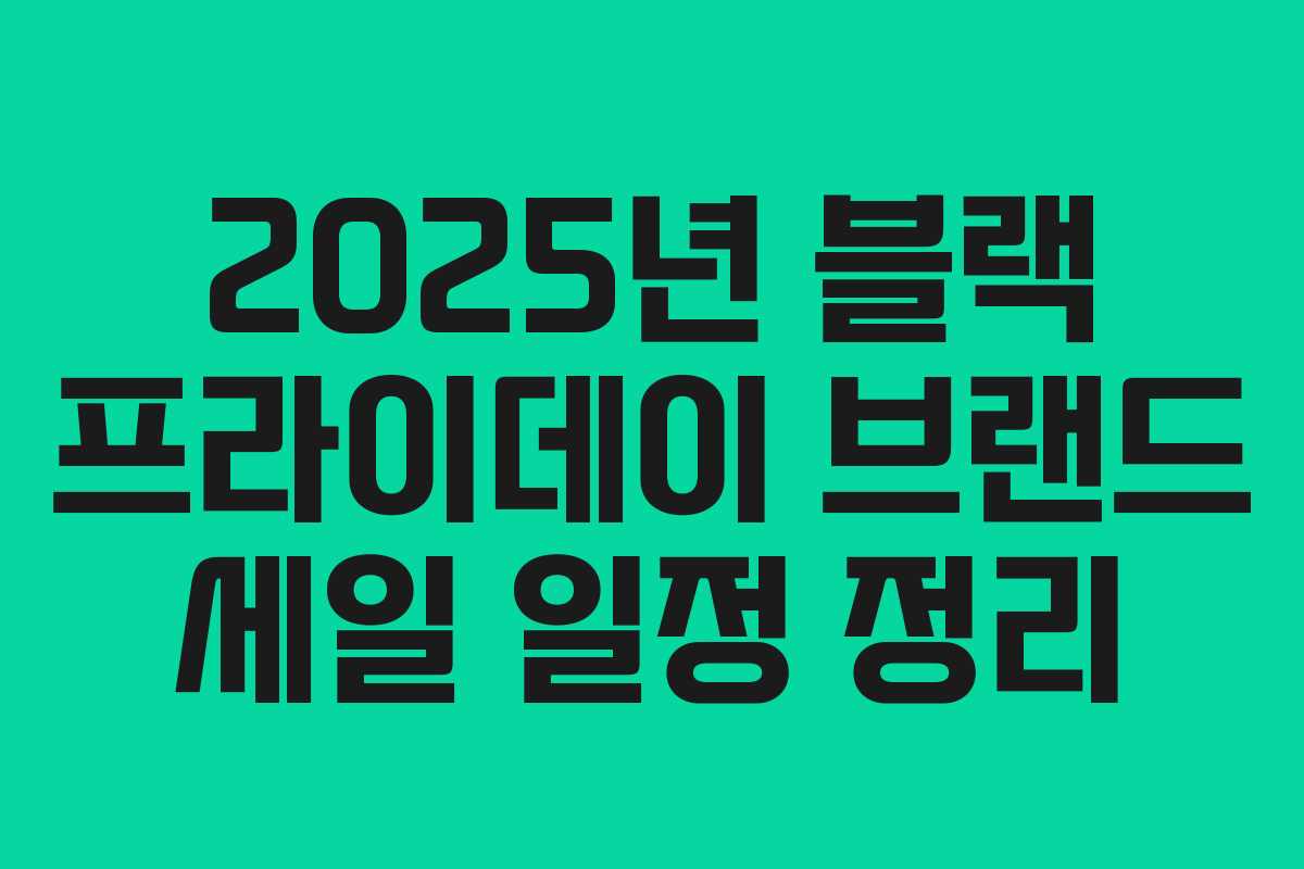 2025년 블랙 프라이데이 브랜드 세일 일정 정리