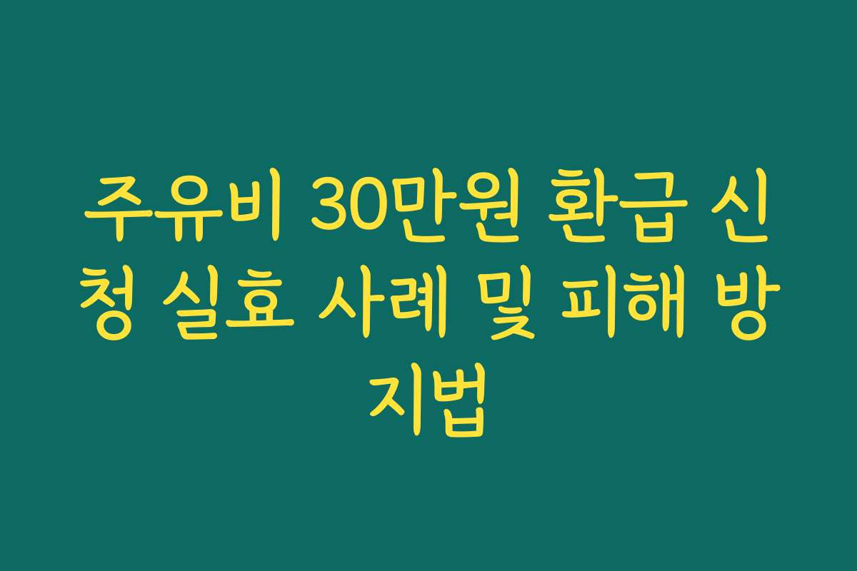 주유비 30만원 환급 신청 실효 사례 및 피해 방지법
