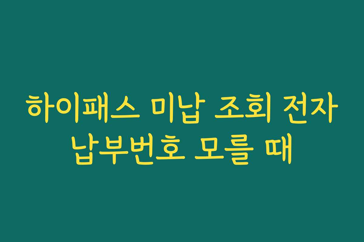 하이패스 미납 조회 전자납부번호 모를 때