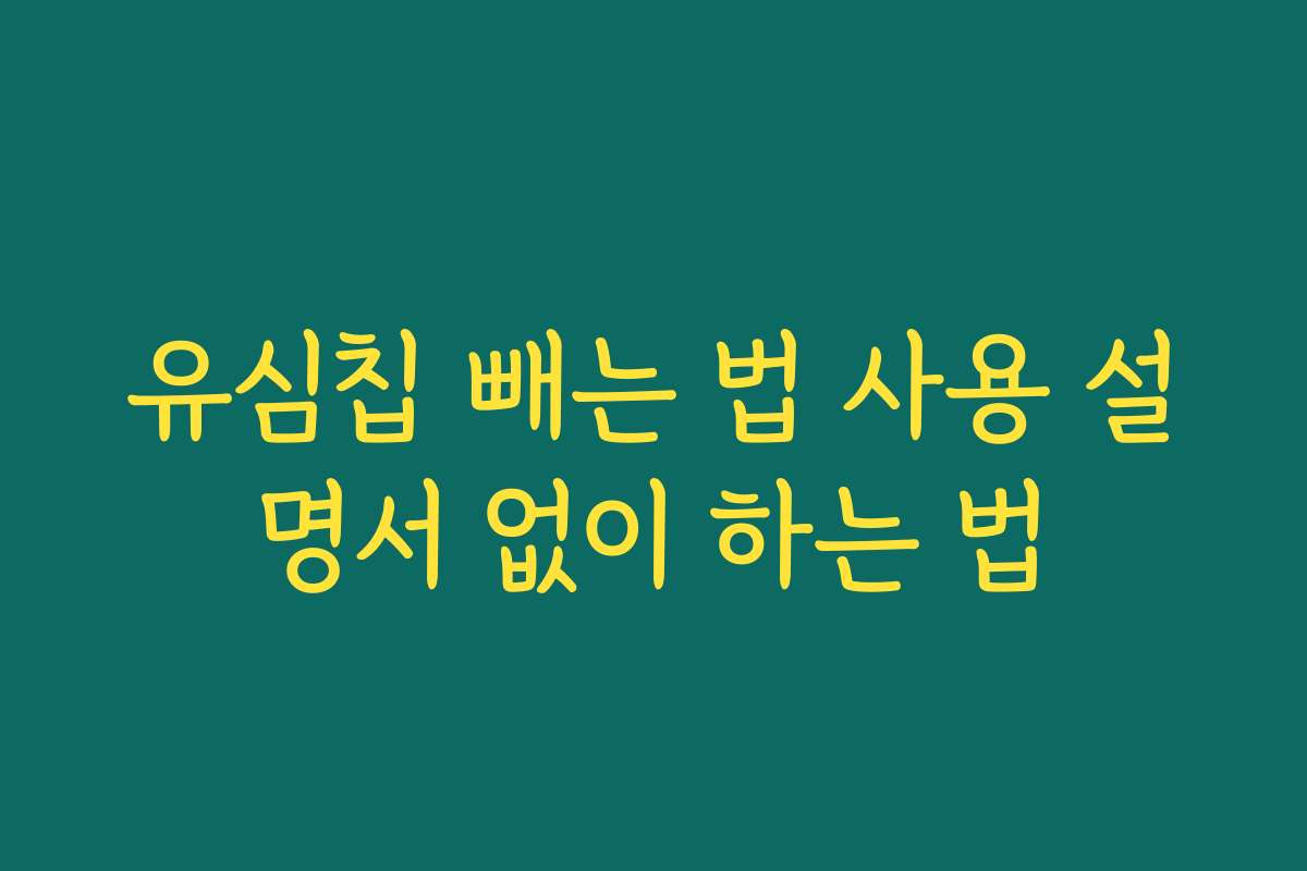 유심칩 빼는 법 사용 설명서 없이 하는 법