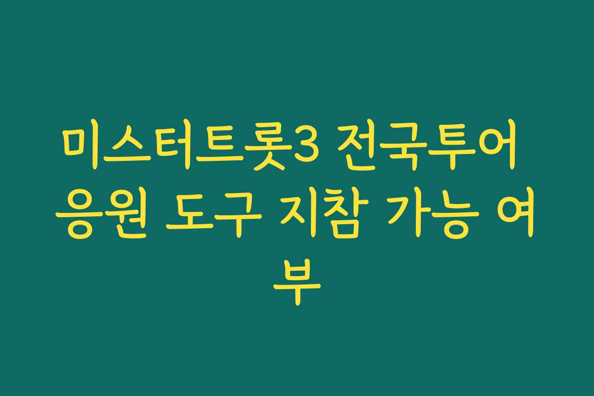 미스터트롯3 전국투어 응원 도구 지참 가능 여부